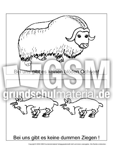 Ausmalbilder-Tierschimpfwörter-B-8.pdf